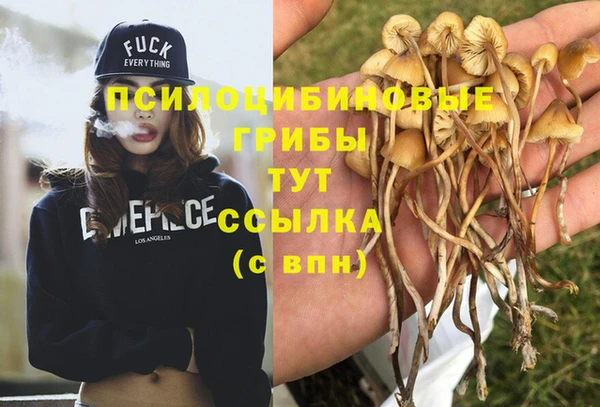 мескалин Аркадак
